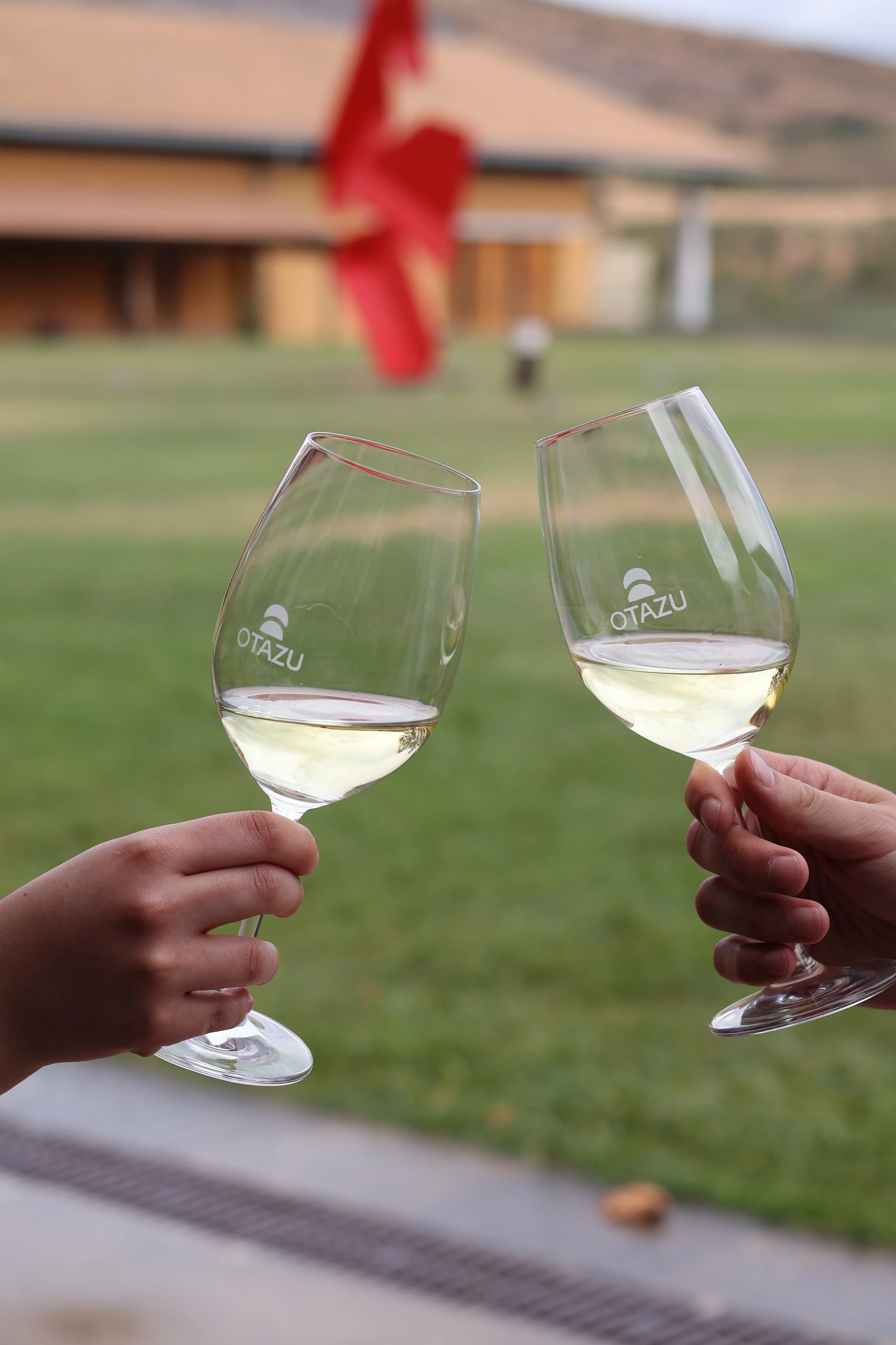 AMPLÍA TUS VINOS