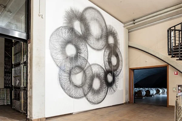 AS #6 de Tony Orrico