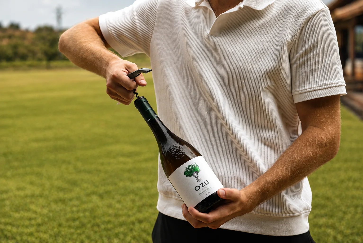 Chardonnay 2025