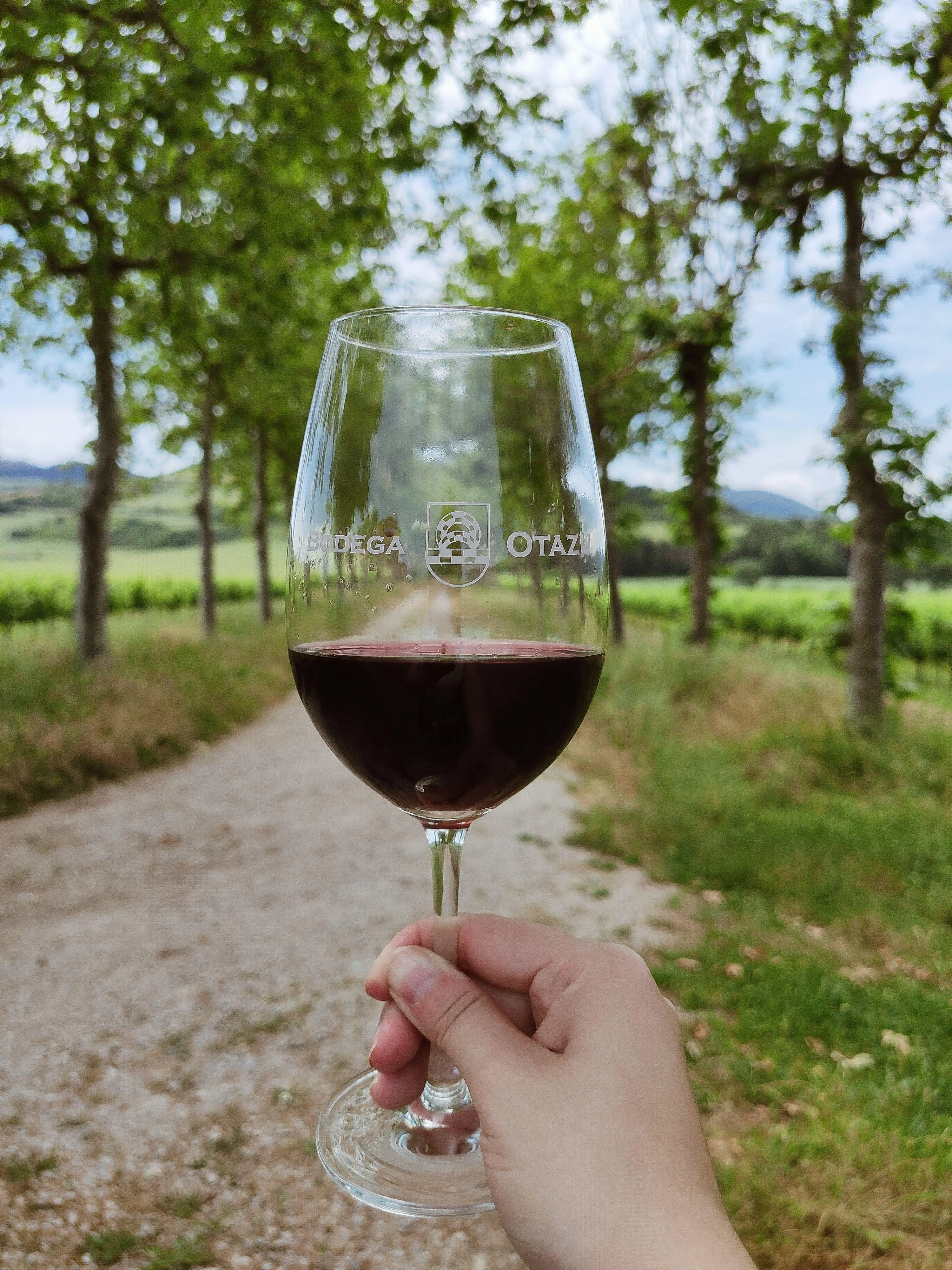 1Ha. Una Historia. Garnacha 2021