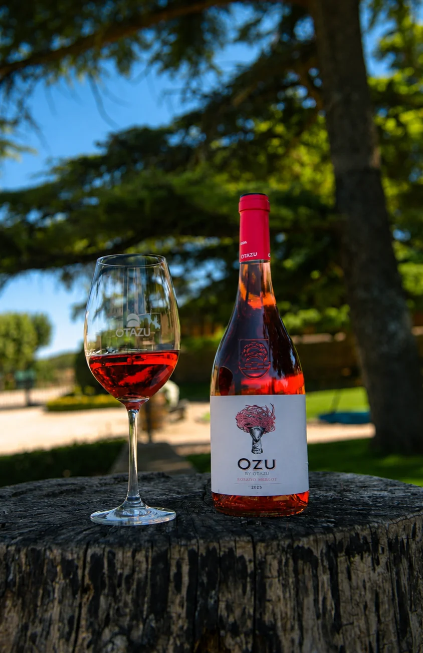 Rosado Merlot 2025