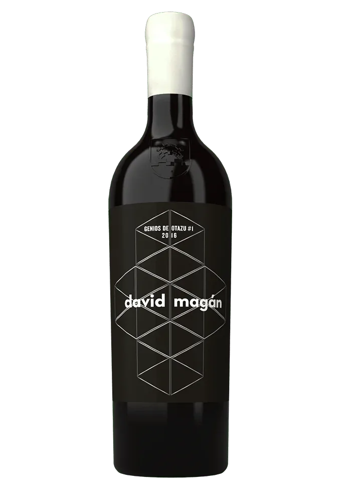Genios de Otazu #1 – David Magán