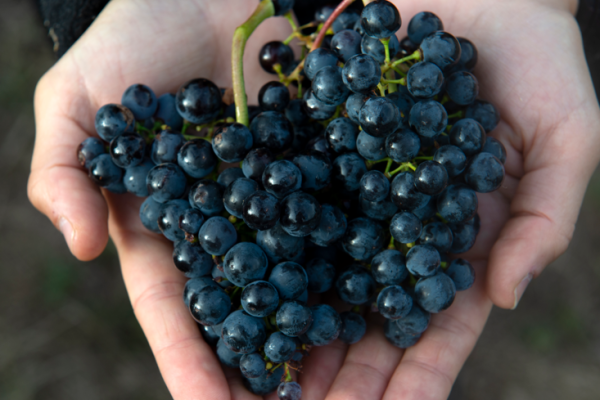 Captura de pantalla 2025-11-10 142335