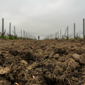 Captura de pantalla 2025-11-10 142343