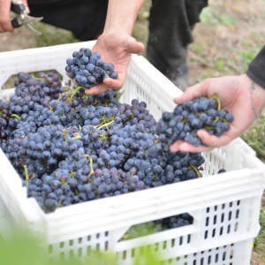 Captura de pantalla 2025-11-10 142352