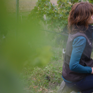 Captura de pantalla 2025-11-10 142400