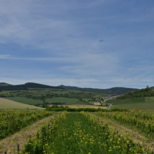 Captura de pantalla 2025-11-21 144813