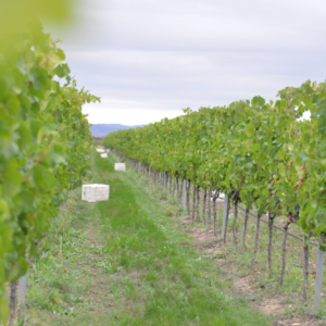 Captura de pantalla 2025-11-21 144842